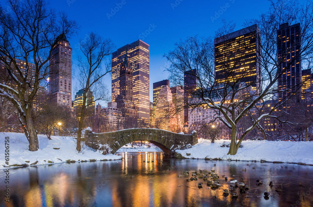 Obraz premium Gapstow bridge in winter, Central Park
