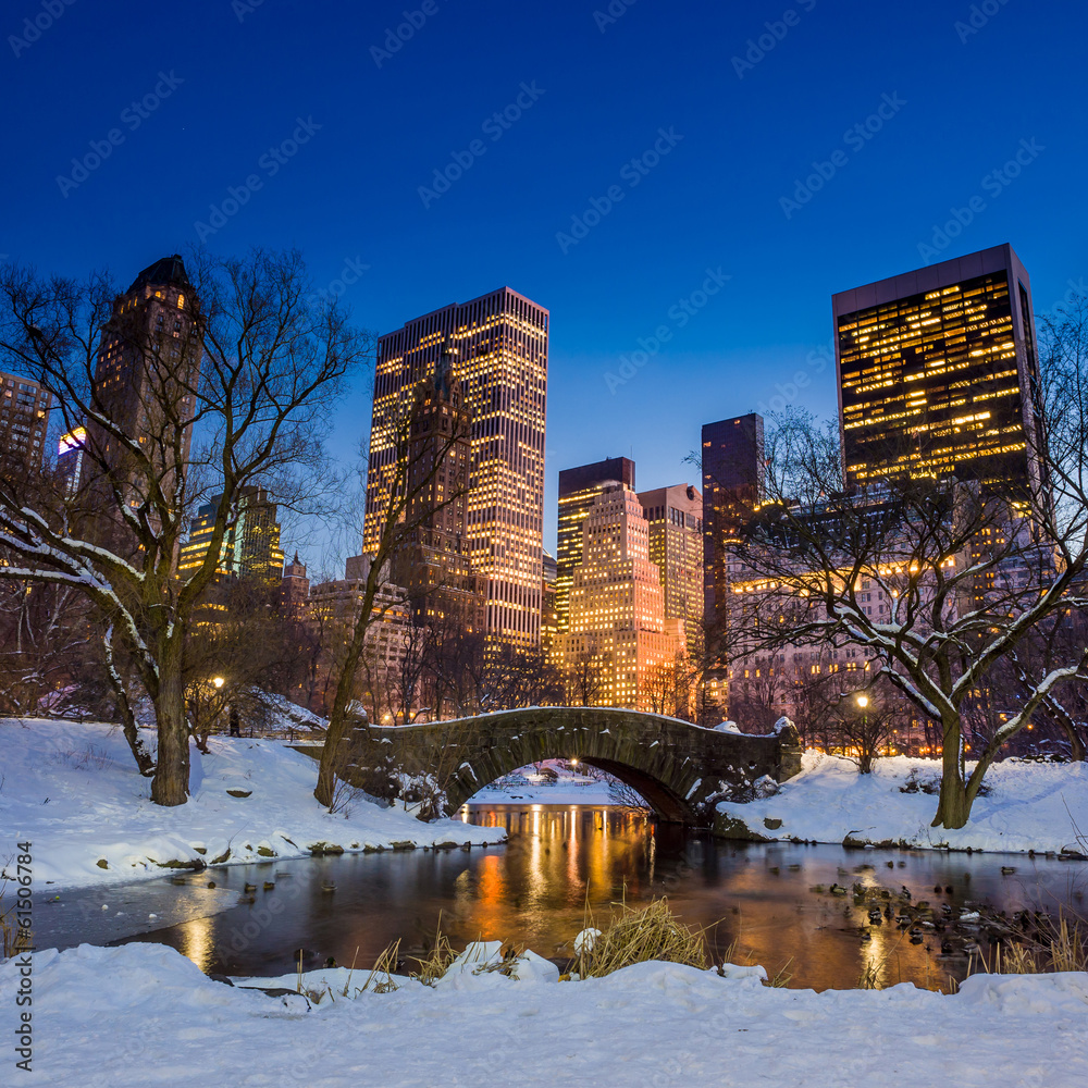 Obraz premium Gapstow bridge in winter