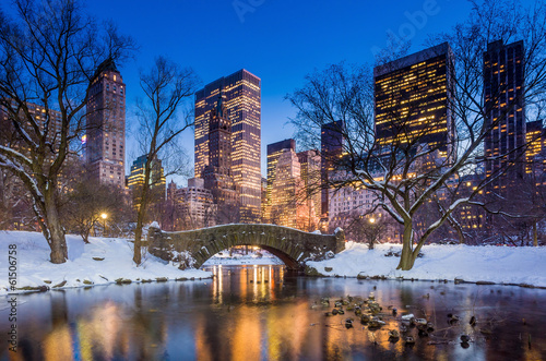 Stampa su tela Gapstow bridge in winter, Central Park