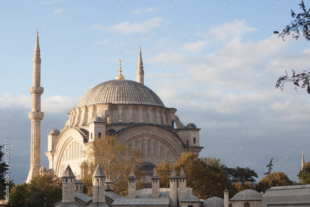 Fototapeta premium mosque in Istanbul, Turkey