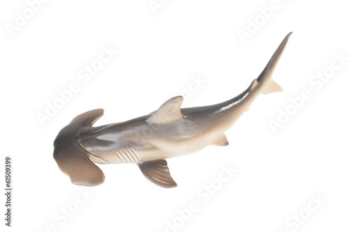 Plastic hammerhead shark toy isolated on white background