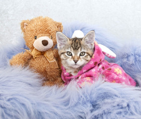 Bed Time Friends