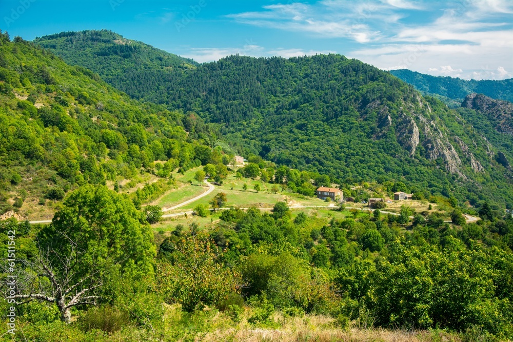 Magnifique paysage de Provence en France