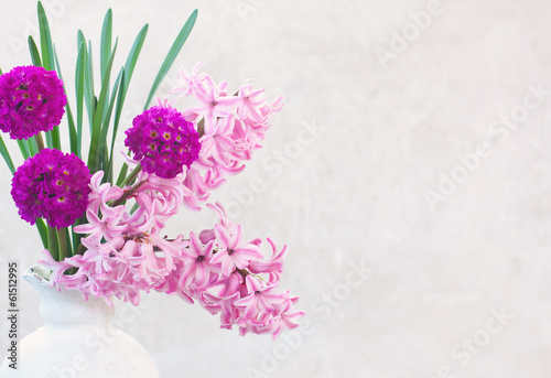 spring flowers on white background