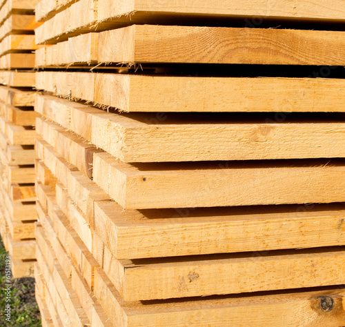 holz1502a