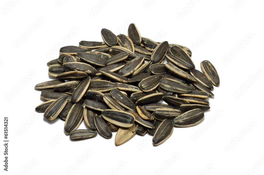 sunflower seeds on white background sunflower seeds on white background