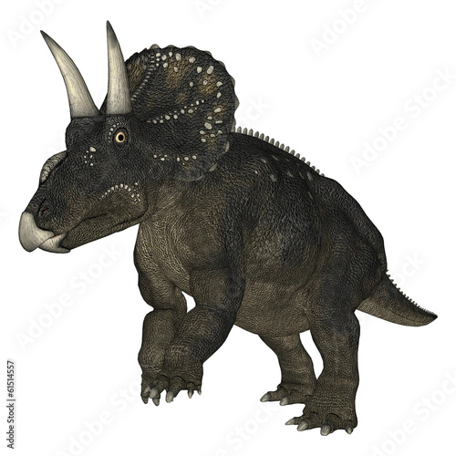 Dinosaur Diceratops © photosvac