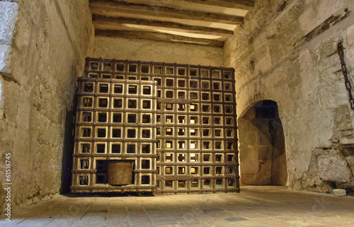 castle of Loches in Indre et Loire