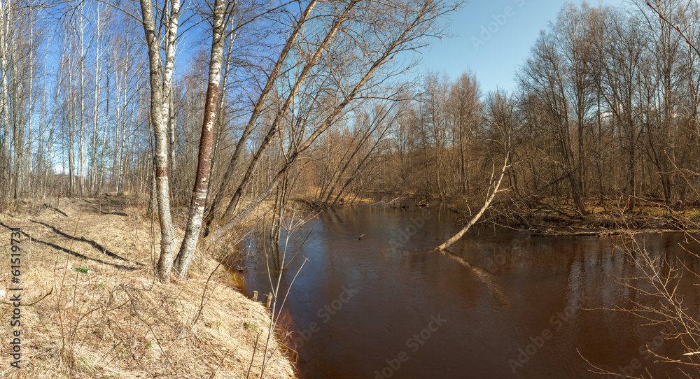 Trees on river bank in the spring. Trees on river bank in the spring.