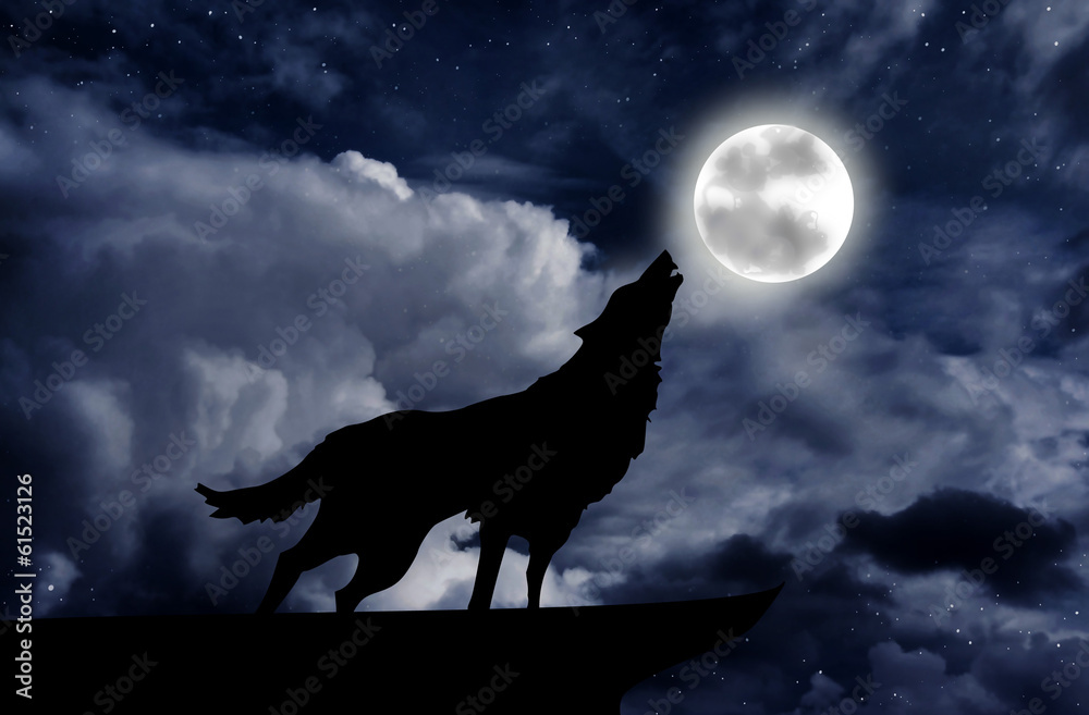 Fototapeta Wolf howling at the full moon