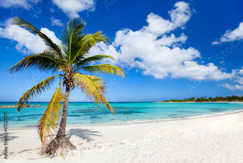 Beautiful Caribbean beach photo