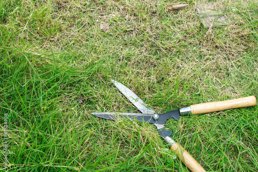 Obraz premium Scissors