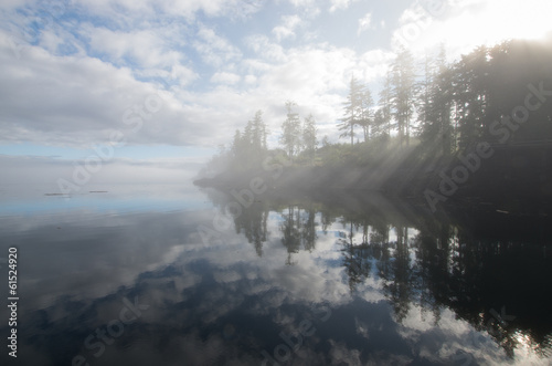 Island Fog