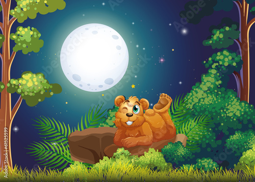 A bear lying above the rock in the middle of the forest