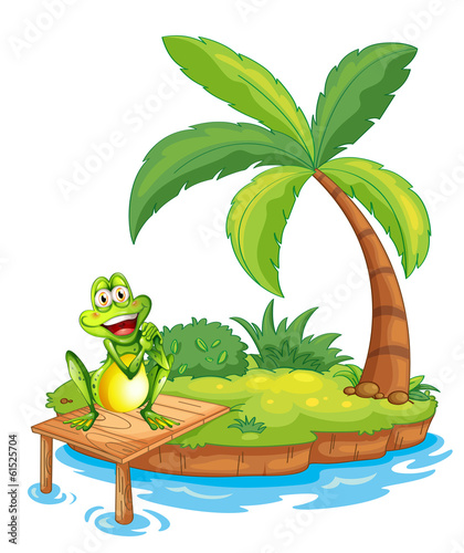 An island with a frog above the wooden bridge