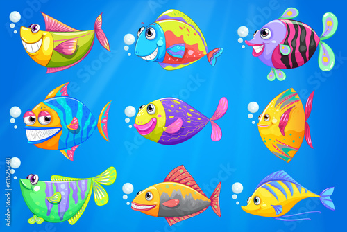 Nine colorful fishes under the sea