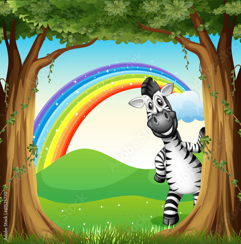 A zebra near the trees and a rainbow in the sky