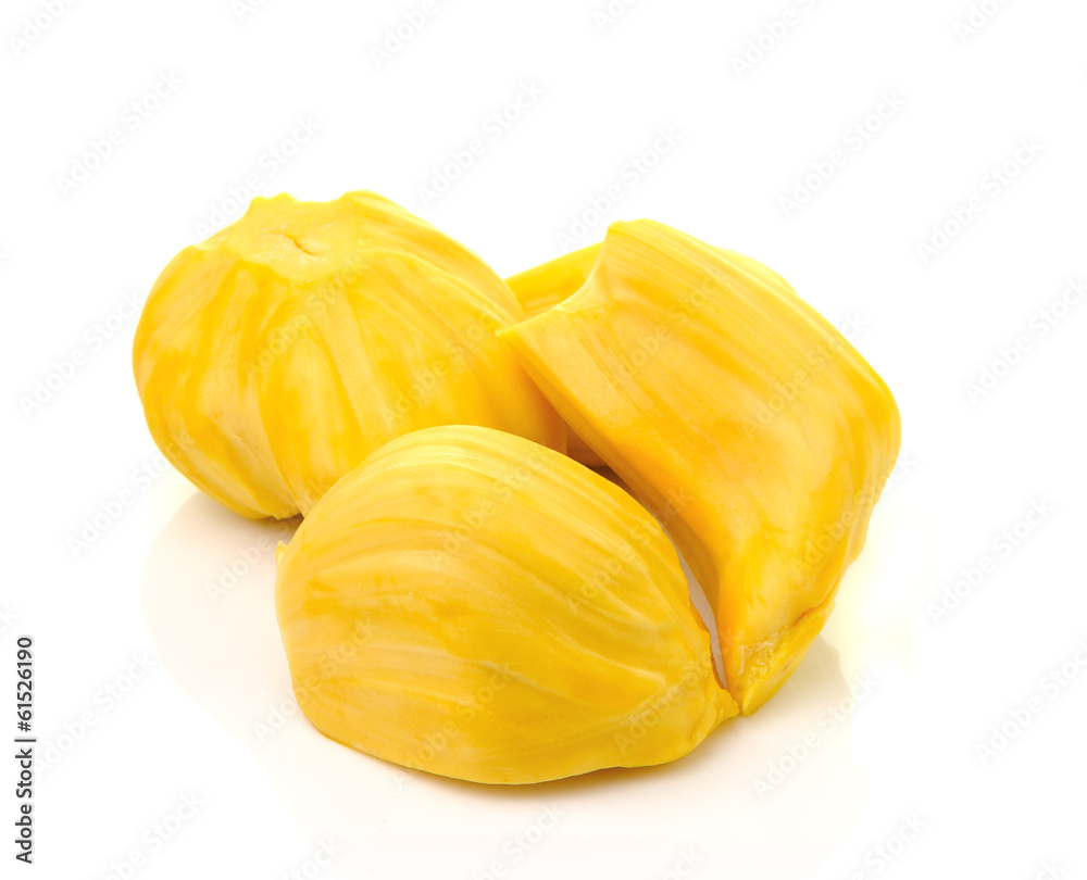 jackfruit isolated on white background jackfruit isolated on white background