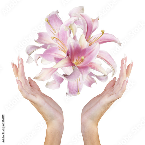 Beautiful Female Hands with Flowers Pink Exotic Lily.Spa