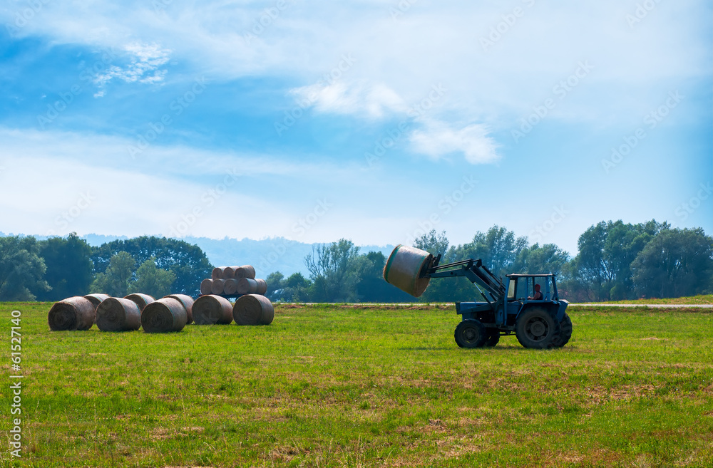 Obraz premium The tractor on the field gathers hay