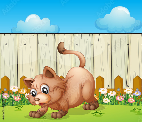 A cat playing at the backyard
