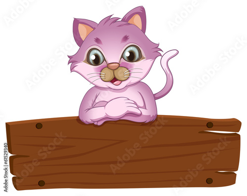 An adorable cat leaning over the empty wooden signboard