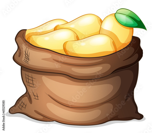 A sack of ripe mangoes