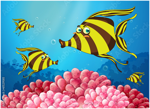 A group of stripe-colored fishes under the sea