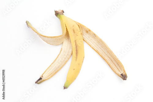 Bananas.