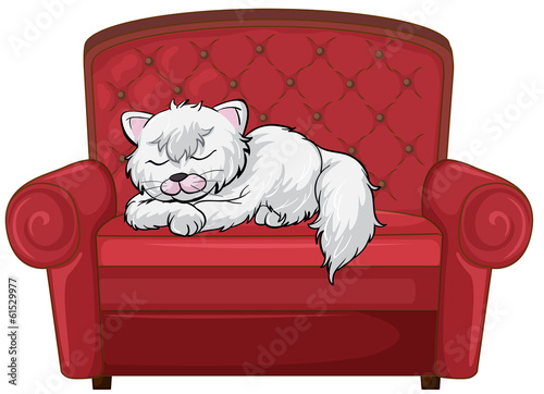 A cat sleeping soundly at the chair