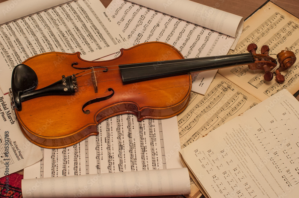 Fototapeta premium violino con spartito