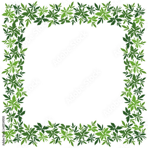 Background  frame of green leaves