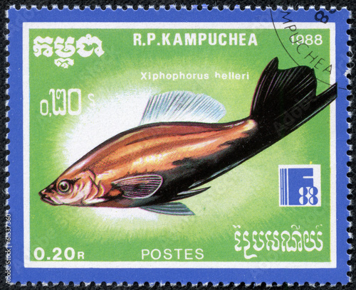 stamp printed Cambodia shows fish(xiphophorus helleri) photo