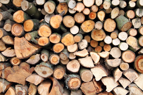 frischer Brennholzstapel