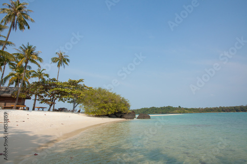 thailand beach, beautiful Thailand beach with coconut palm tree