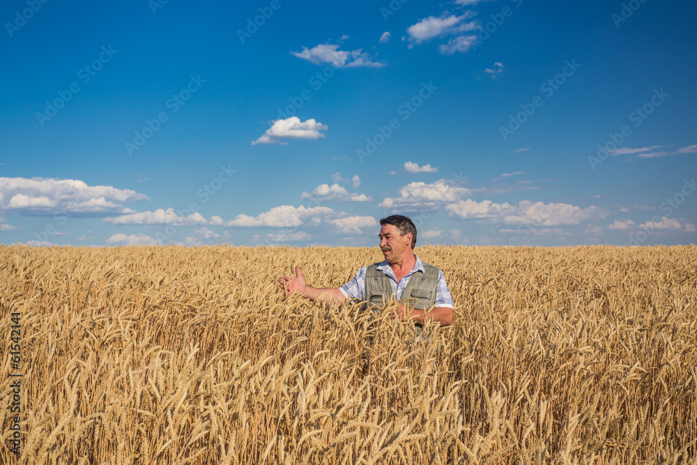Happy smiling caucasian old farmer standing in wheat fields Happy smiling caucasian old farmer standing in wheat fields