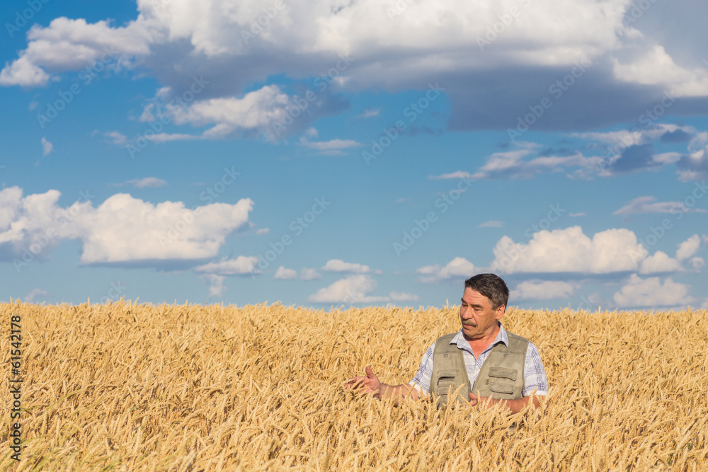 Happy smiling caucasian old farmer standing in wheat fields Happy smiling caucasian old farmer standing in wheat fields