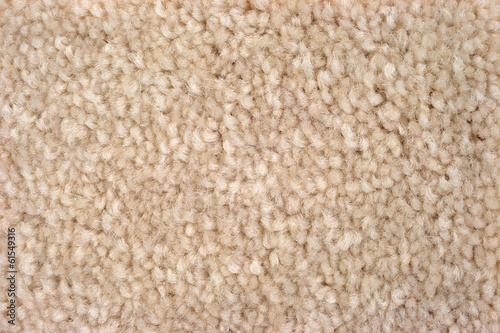 Obraz na plátně Close view of plush tan carpeting
