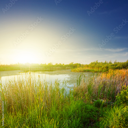 Fototapeta Naklejka Na Ścianę i Meble -  beautiful summer lake