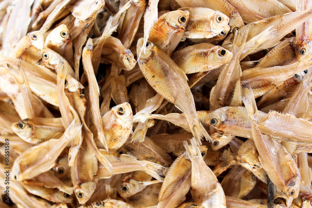 dried small fish in the thai market