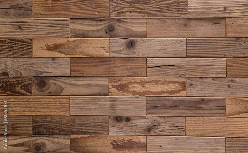 Texture of bark wood