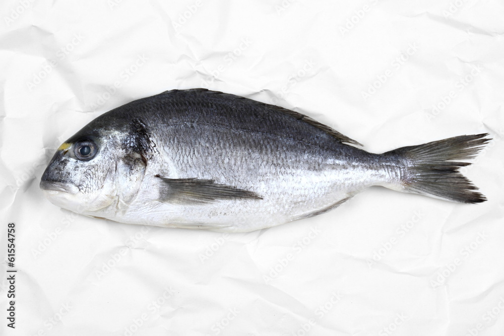 Fresh bream fish on white parchment paper Fresh bream fish on white parchment paper