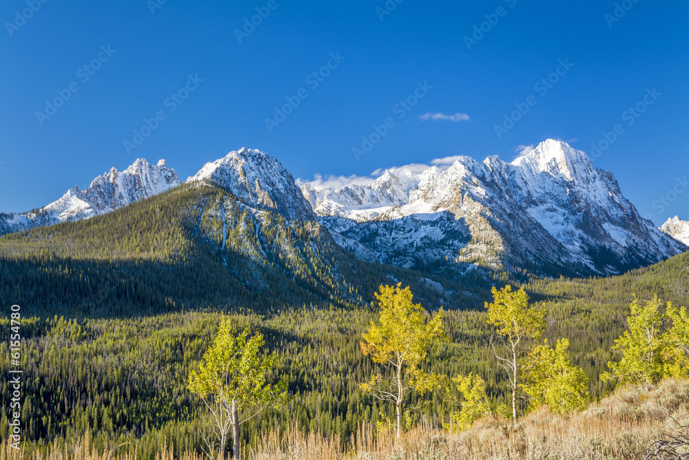 Mountain scene with a forest and snow