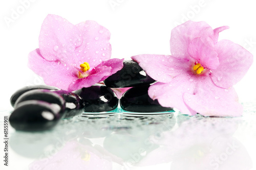 Fototapeta Naklejka Na Ścianę i Meble -  Spa treatment massage stones and pink flower
