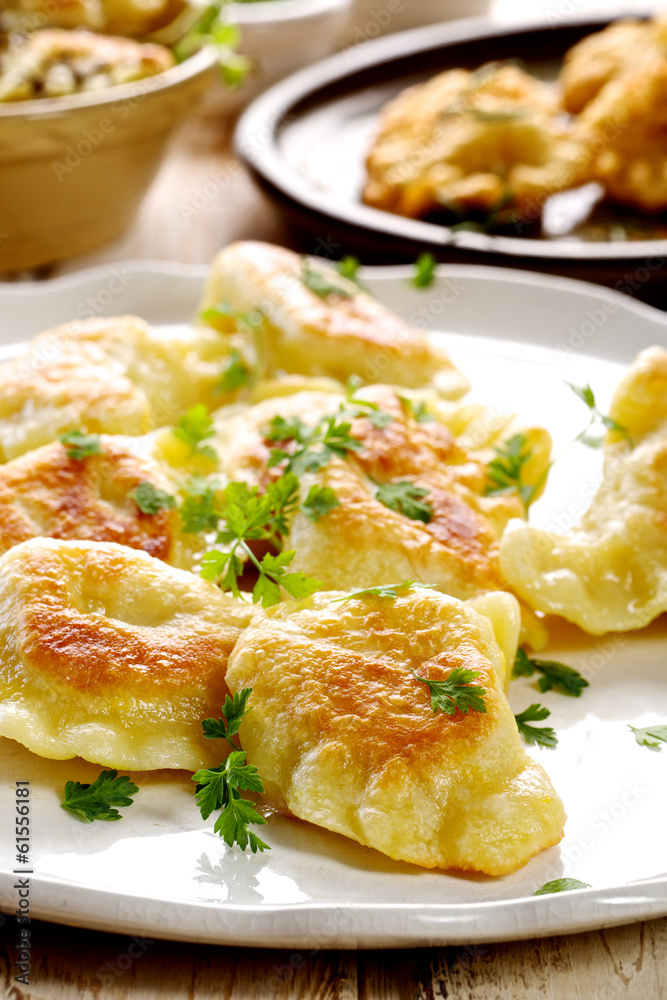 Fried dumplings browned Fried dumplings browned