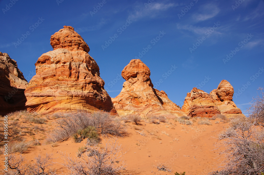 Paria Canyon-Vermilion Cliffs Wildnis, Arizona, USA