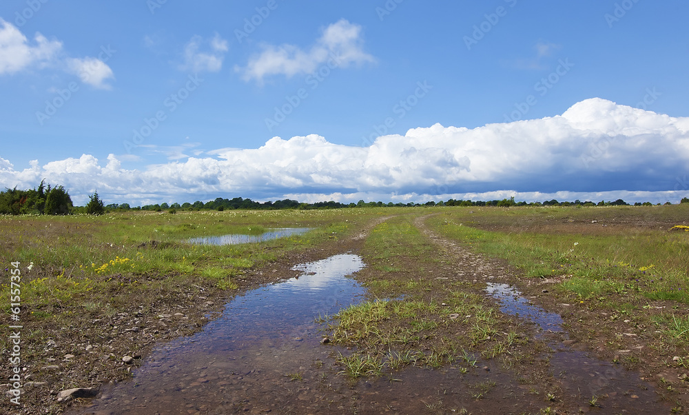 Alvaret after a heavy rain, important habitat Alvaret after a heavy rain, important habitat