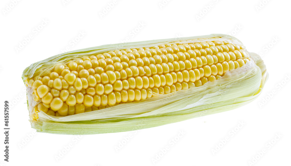 custom made wallpaper toronto digitalSweet corn