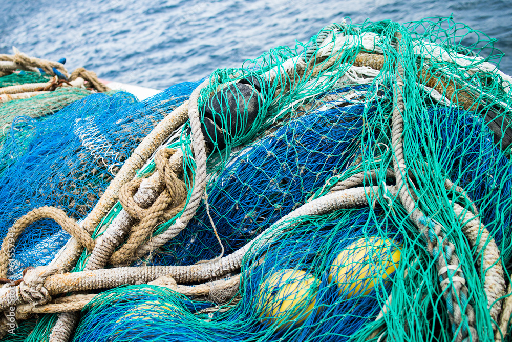 Fisher's net