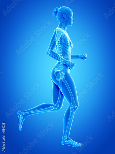 medical 3d illustration - jogging woman - visible bones © Sebastian Kaulitzki